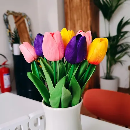 Brufani * Santa Maria Degli Angeli (Assisi)